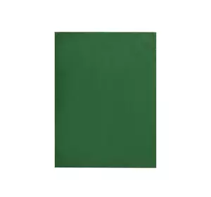 Рушник кухонний (зелений) 45х60см 159744