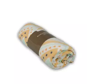 Плед флісовий "Полар Зігзаг" (помаранчево-салатово-сірий) 130х160см 131974 Плед флісовий "Полар Зігзаг" (помаранчево-салатово-сірий) 130х160см 131974