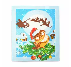 Рушник вафельний кухонний Home Line "Сова" (блакитний) 45х60см 132114 Рушник вафельний кухонний Home Line "Сова" (блакитний) 45х60см 132114